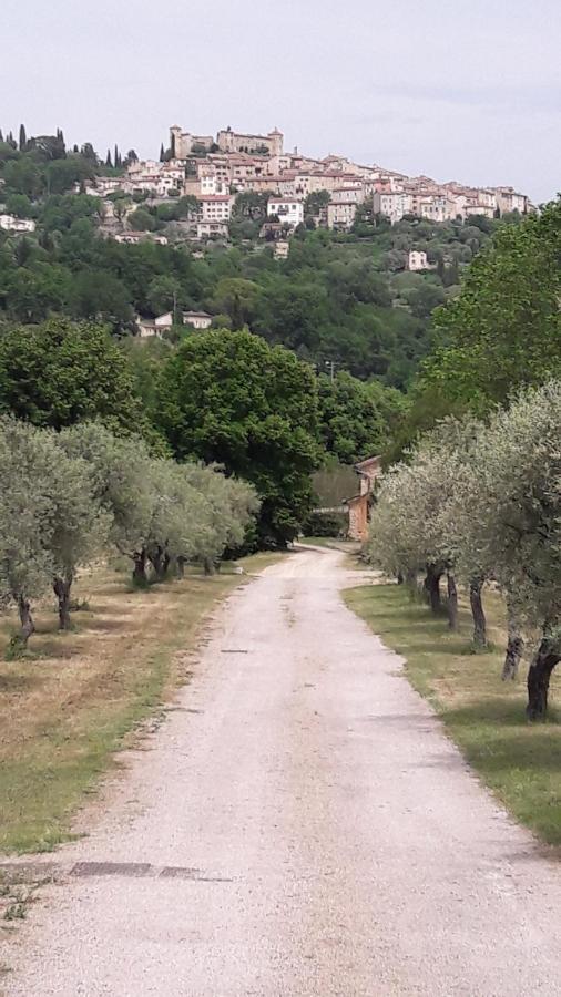 La Rose Des Vents Bed & Breakfast Montauroux Dış mekan fotoğraf