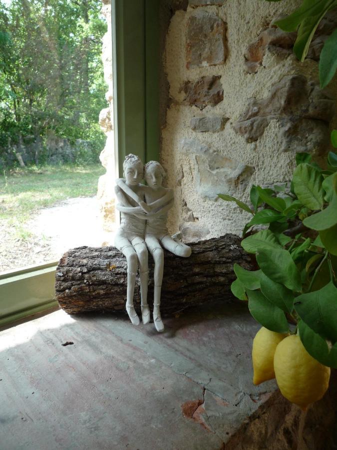 La Rose Des Vents Bed & Breakfast Montauroux Dış mekan fotoğraf
