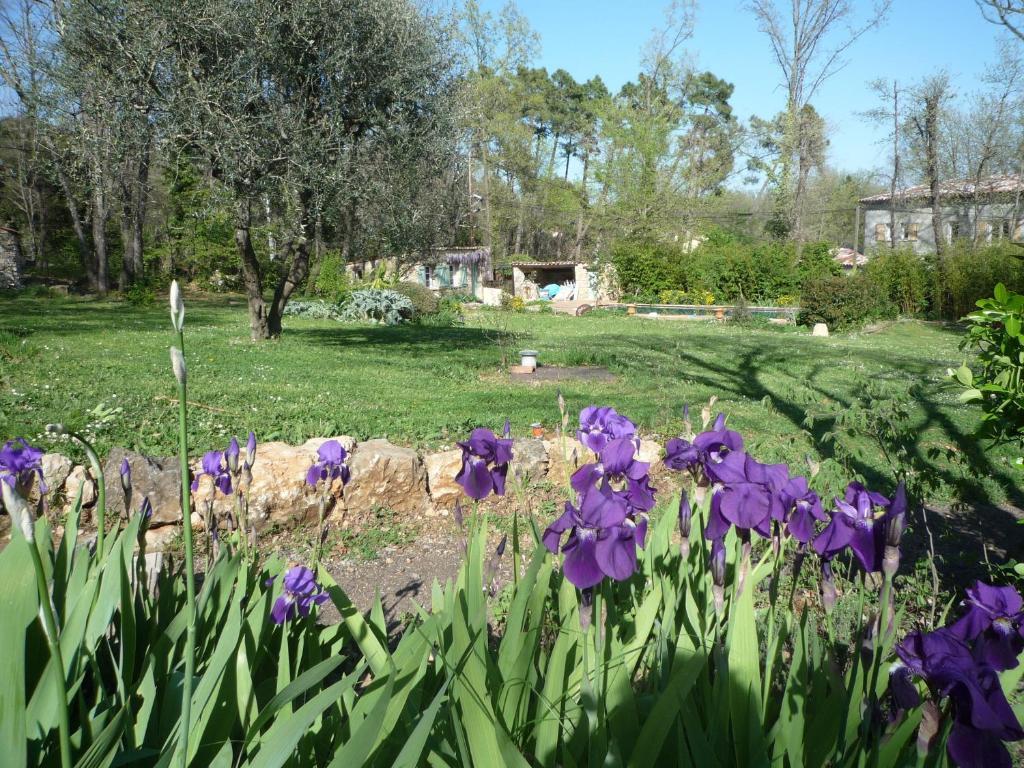 La Rose Des Vents Bed & Breakfast Montauroux Dış mekan fotoğraf