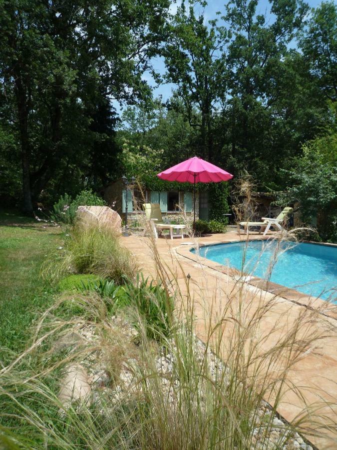 La Rose Des Vents Bed & Breakfast Montauroux Dış mekan fotoğraf